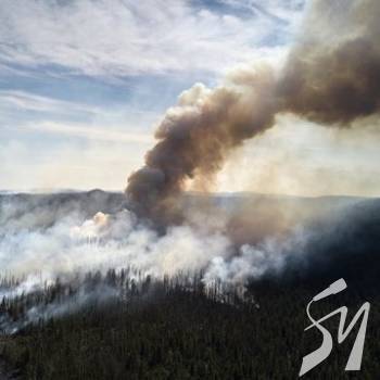 � ����� ��� �� ������ ����� ������ ������� ��� - Greenpeace